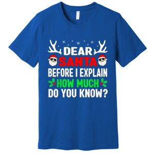 Funny Christmas Dear Santa I Can Explain Premium T-Shirt