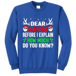 Funny Christmas Dear Santa I Can Explain Tall Sweatshirt