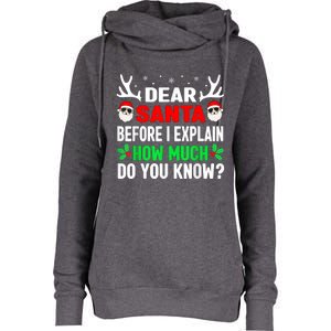 Funny Christmas Dear Santa I Can Explain Womens Funnel Neck Pullover Hood