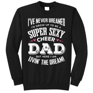 Funny Cheerleading Dad Father Cheer Dad Sweatshirt