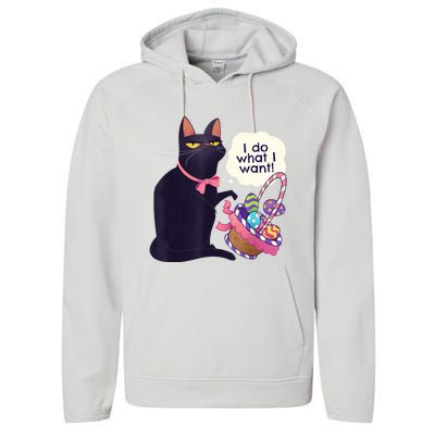 Funny Cat Easter What I Want Easter Basket Stuffers Performance Fleece Hoodie