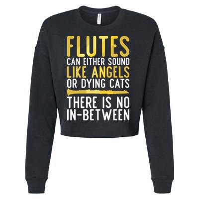 Flutes Can Either Sound Like Angels Or Dying Cats Fun Flute Cropped Pullover Crew