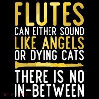 Flutes Can Either Sound Like Angels Or Dying Cats Fun Flute Cropped Pullover Crew