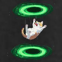 Funny Cat Falls Through Portal For Kitten And Cats Lovers Beanie