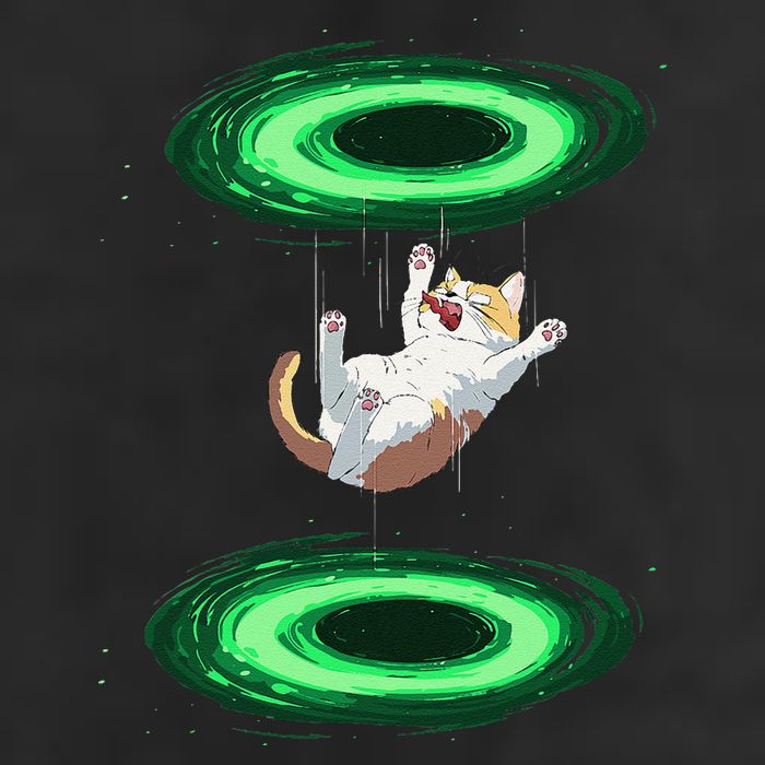 Funny Cat Falls Through Portal For Kitten And Cats Lovers Beanie