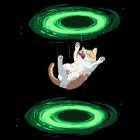 Funny Cat Falls Through Portal For Kitten And Cats Lovers 16oz Travel Tumbler