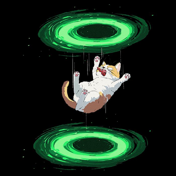 Funny Cat Falls Through Portal For Kitten And Cats Lovers 16oz Travel Tumbler