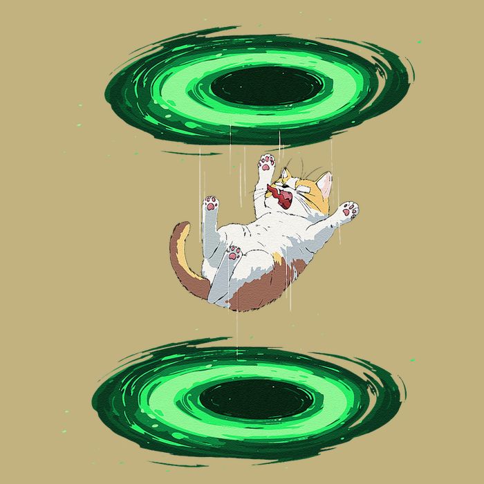 Funny Cat Falls Through Portal For Kitten And Cats Lovers T-Shirt