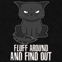Funny Cat Fluff Around And Find Out Ladies PosiCharge Tri-Blend Wicking Tank