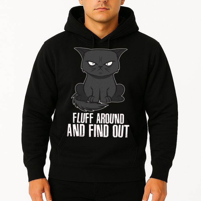 Funny Cat Fluff Around And Find Out Hoodie