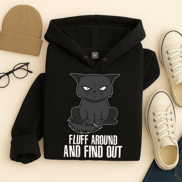 Funny Cat Fluff Around And Find Out Hoodie
