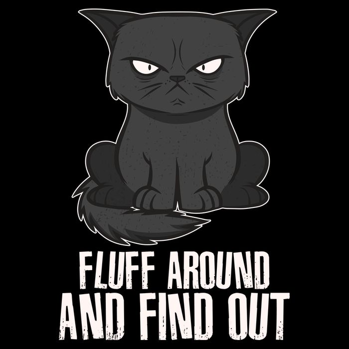 Funny Cat Fluff Around And Find Out Bucket Hat