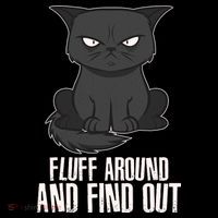 Funny Cat Fluff Around And Find Out Sustainable Beanie
