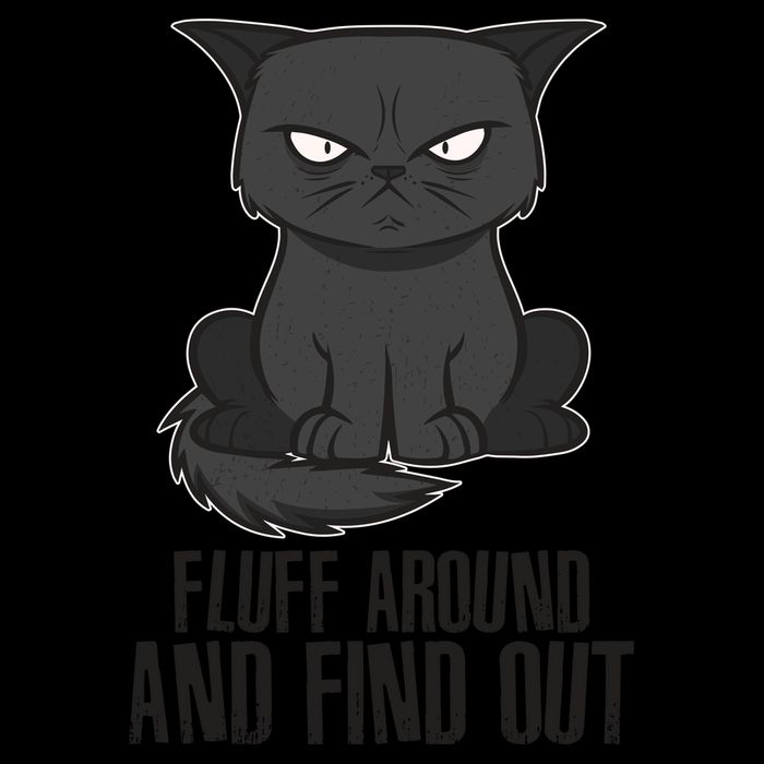 Funny Cat Fluff Around And Find Out 16oz Travel Tumbler