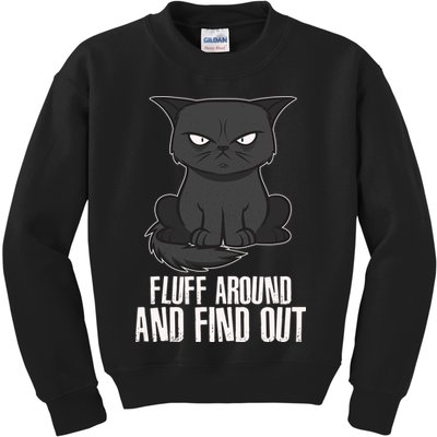Funny Cat Fluff Around And Find Out Kids Sweatshirt