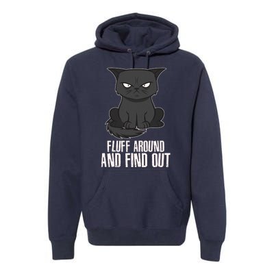 Funny Cat Fluff Around And Find Out Premium Hoodie