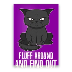 Funny Cat Fluff Around And Find Out Poster