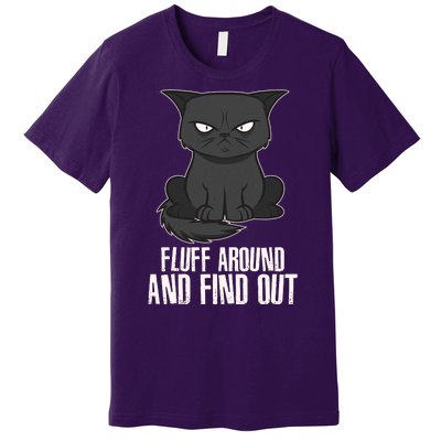 Funny Cat Fluff Around And Find Out Premium T-Shirt