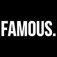 Famous Celebrity Womens T-Shirt