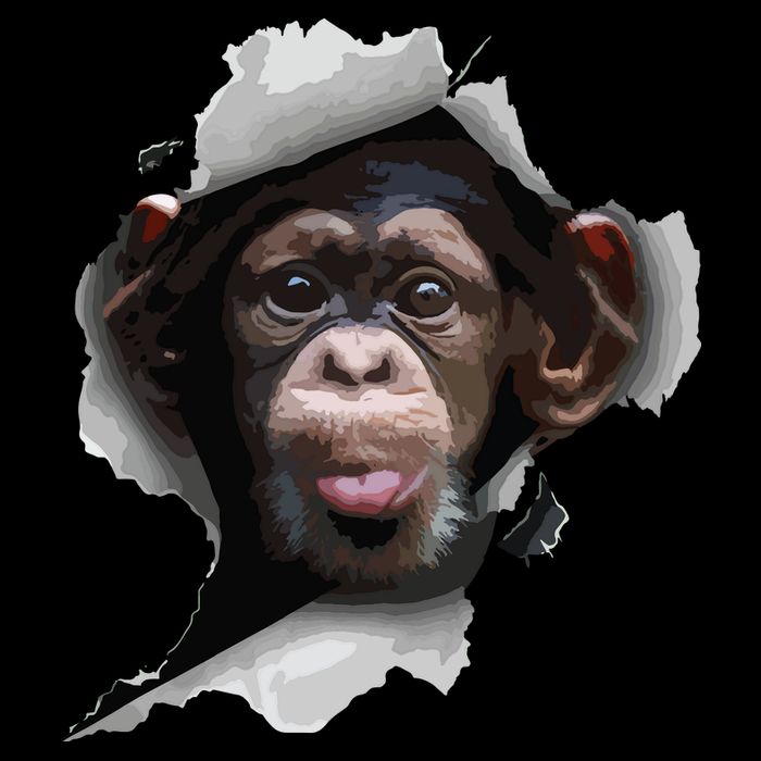 Funny Chimp, Funny Monkey, Monkey Lover Poster