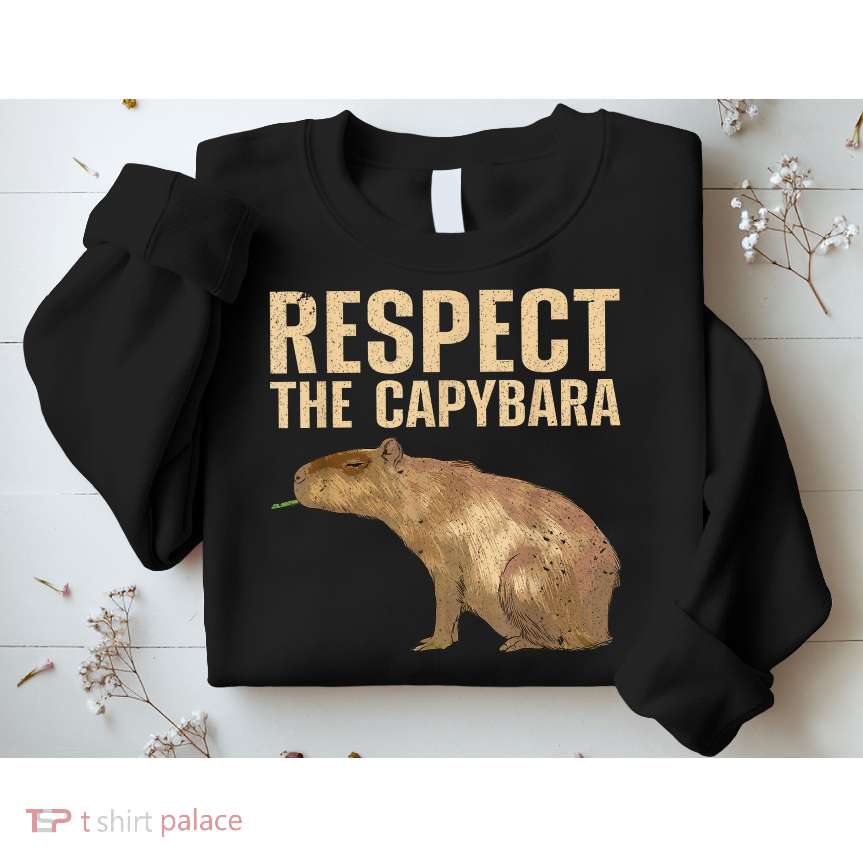 Funny Capybara For Women Cavy Rodent Capybara Lover Sweatshirt