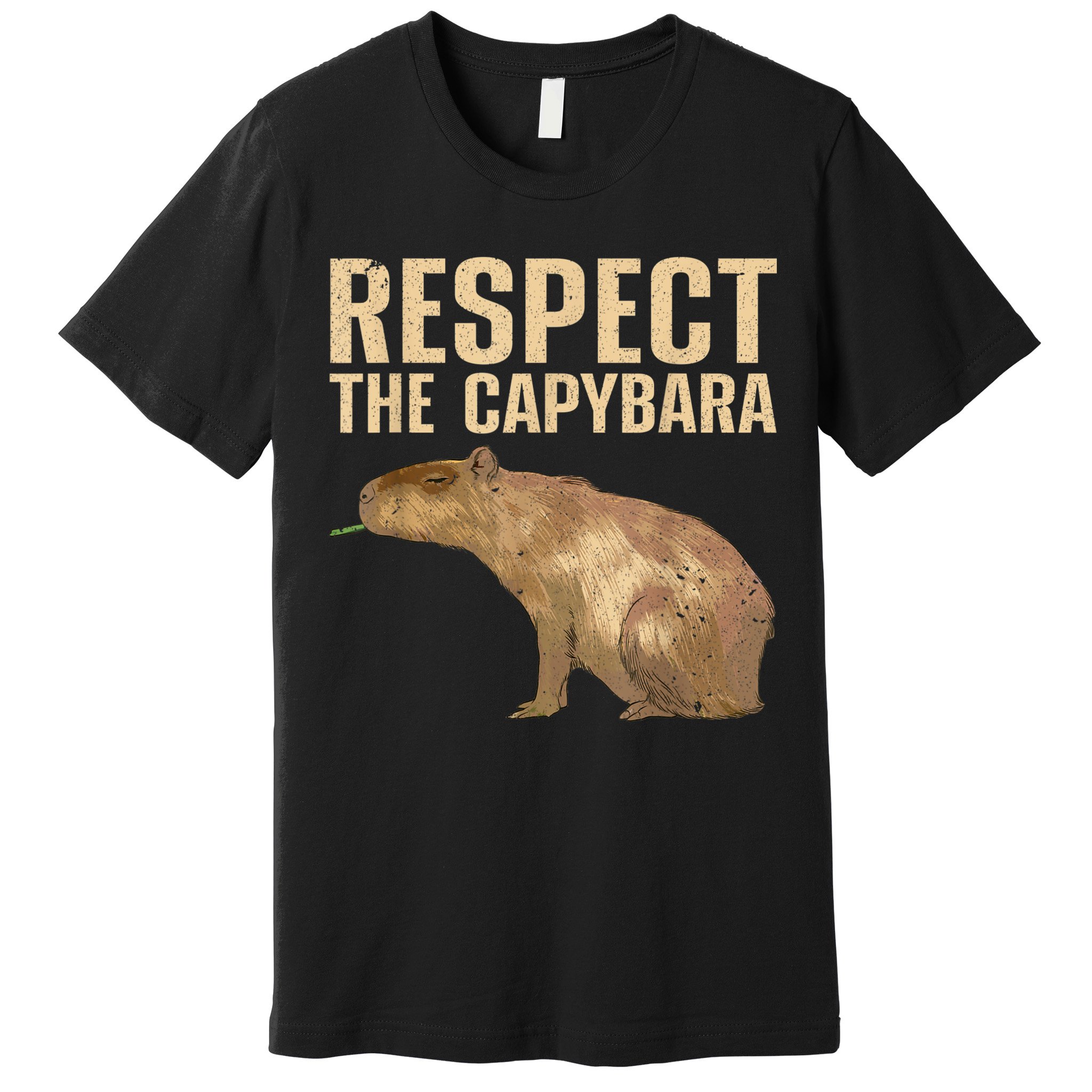 Funny Capybara For Women Cavy Rodent Capybara Lover Premium T-Shirt
