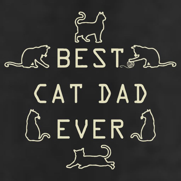 Feline Cat Father Kitty Dad Fathers Day Meow 25L Jumbo Tote