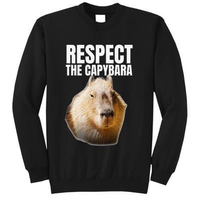 Funny Capybara For Cavy Rodent Capybara Lover Sweatshirt