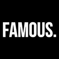 Famous  Celebrity  Impact Tech Backpack