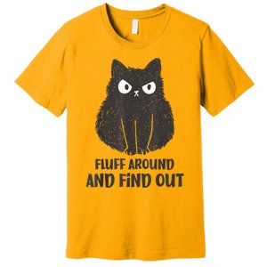 Funny Cat Fluff Around And Find Out Women Men Premium T-Shirt