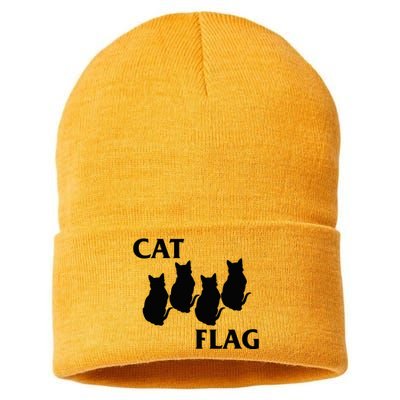 Funny Cat Flag Hardcore Music Parody Sustainable Knit Beanie