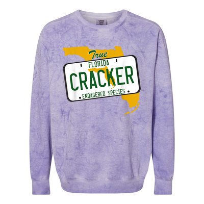 Funny Cracker Florida Colorblast Crewneck Sweatshirt