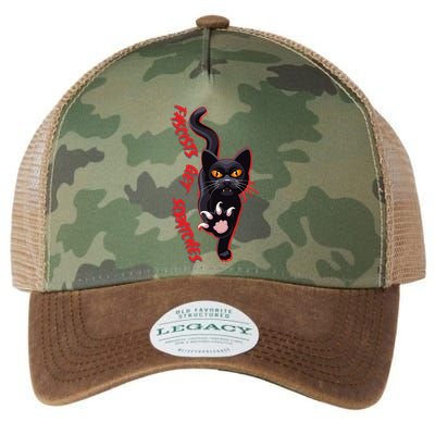 Funny Cat Fascists Get Scratches Legacy Tie Dye Trucker Hat
