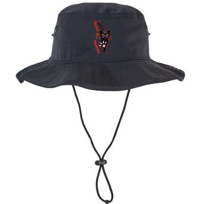 Funny Cat Fascists Get Scratches Bucket Hat