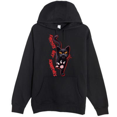 Funny Cat Fascists Get Scratches Premium Pullover Hoodie