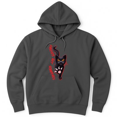 Funny Cat Fascists Get Scratches Hoodie