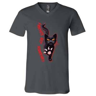 Funny Cat Fascists Get Scratches V-Neck T-Shirt