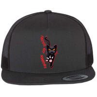 Funny Cat Fascists Get Scratches Flat Bill Trucker Hat
