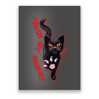 Funny Cat Fascists Get Scratches Poster