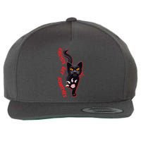 Funny Cat Fascists Get Scratches Wool Snapback Cap