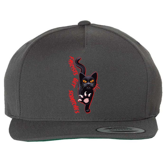 Funny Cat Fascists Get Scratches Wool Snapback Cap