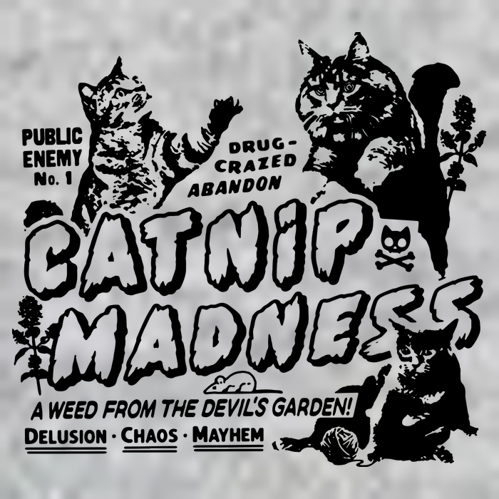 Funny Cat For Cat Mom Cat Dad Catnip Madness Cute Cat T-Shirt