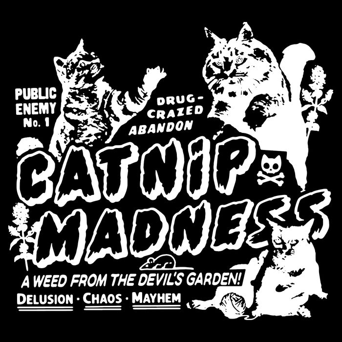 Funny Cat For Cat Mom Cat Dad Catnip Madness Cute Cat Baby Bodysuit