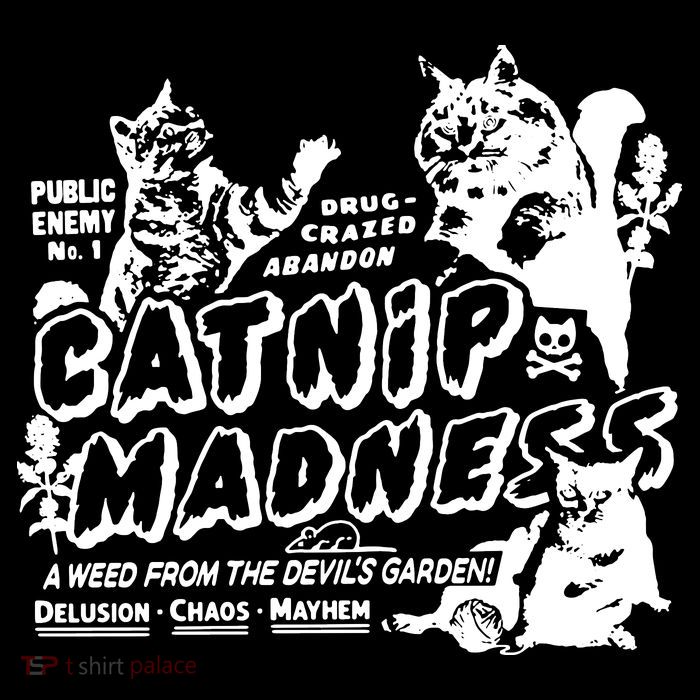 Funny Cat For Cat Mom Cat Dad Catnip Madness Cute Cat Visor
