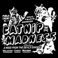 Funny Cat For Cat Mom Cat Dad Catnip Madness Cute Cat Cropped Pullover Crew