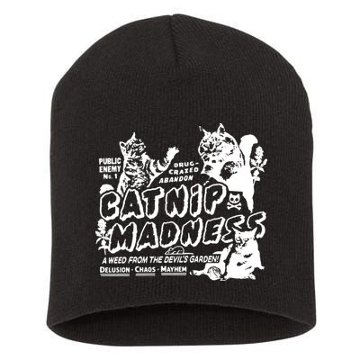 Funny Cat For Cat Mom Cat Dad Catnip Madness Cute Cat Short Acrylic Beanie