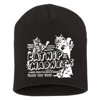 Funny Cat For Cat Mom Cat Dad Catnip Madness Cute Cat Short Acrylic Beanie