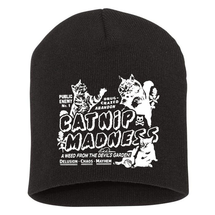 Funny Cat For Cat Mom Cat Dad Catnip Madness Cute Cat Short Acrylic Beanie