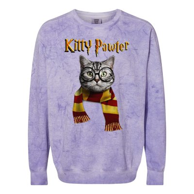 Funny Cat Funny Kitten Cat Lover Tee Kitten Colorblast Crewneck Sweatshirt