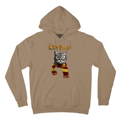 Funny Cat Funny Kitten Cat Lover Tee Kitten Hoodie